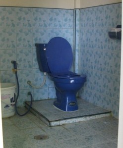 toilet (480x640)